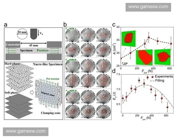 围绕主Q英雄战术演化与团队协同策略深度解析实战场景应用发展前景